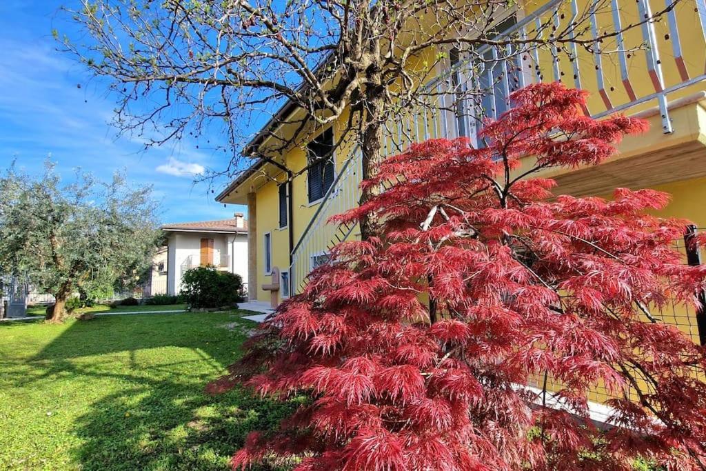 Ferienwohnung Ca' Degli Ulivi Caprino Veronese Exterior foto